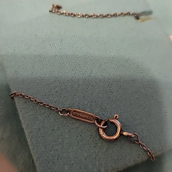 Tiffany & Co. Sterling Silver Atlas Bar Roman Numeral Pendant Necklace - Picture 5 of 5